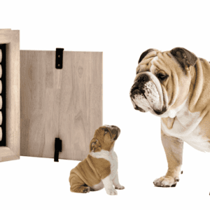 JAKE | Medium Hondenluik | Voor in een deur