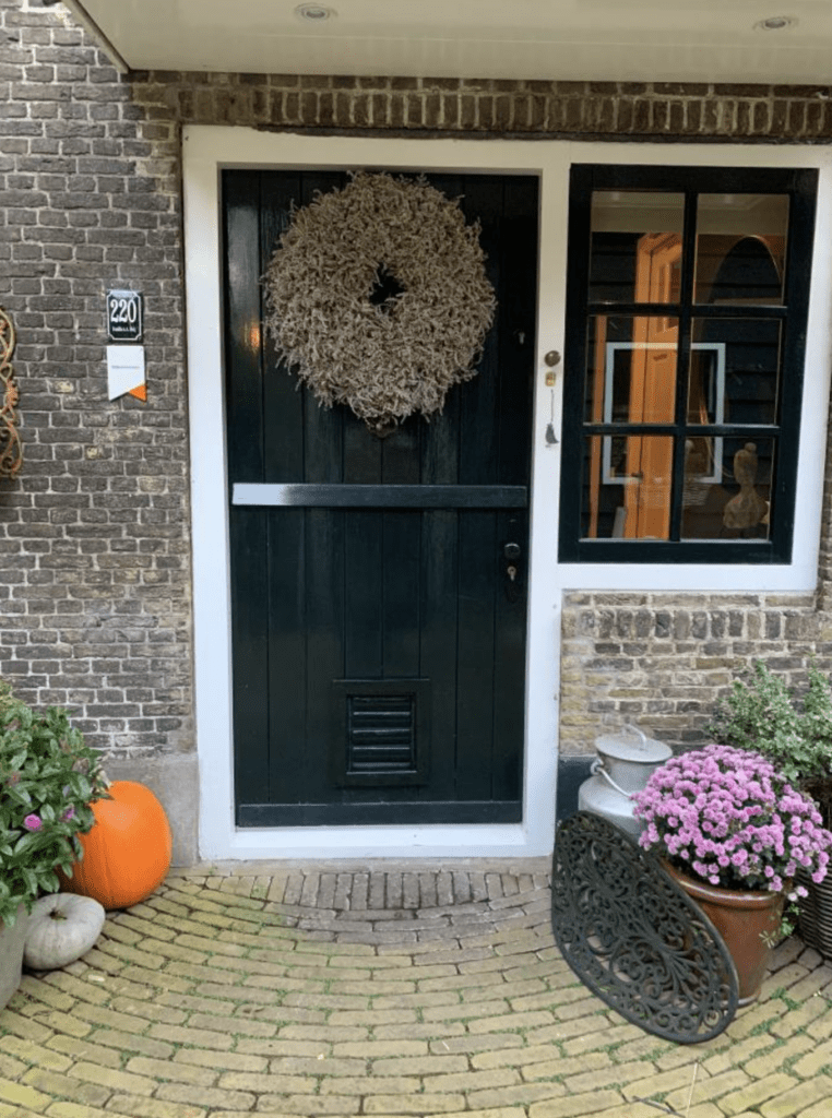 Kattenluik in voordeur inbraak veilig want onopvallend groen geschilderd - Tomsgates Felix(Extra Small) Naturel